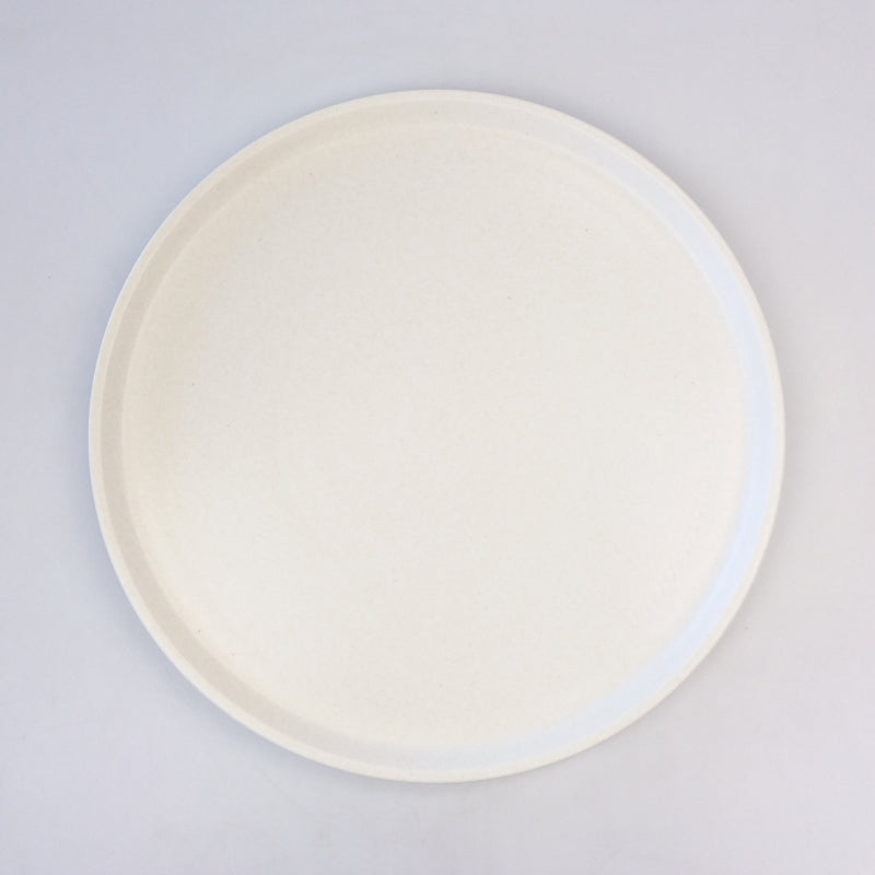 Panasonic Microwave Ceramic Turntable Plate - A06014X70QP