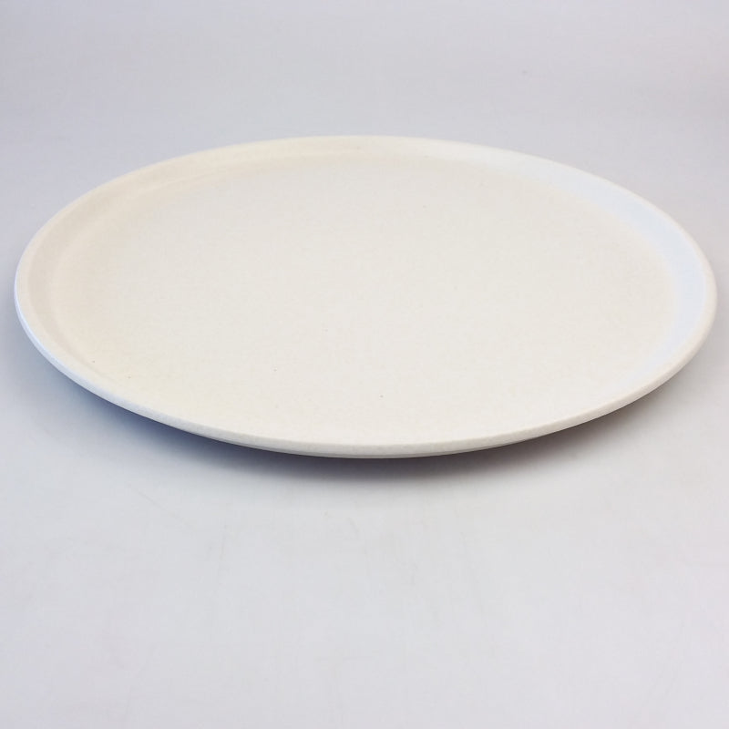 Panasonic Microwave Ceramic Turntable Plate - A06014X70QP